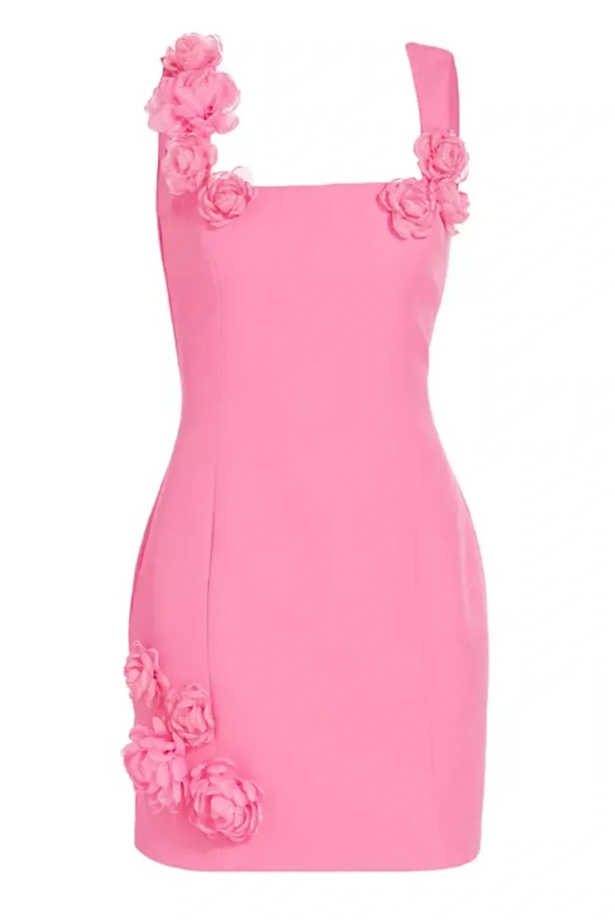 Dilanne Floral  Appliqué Mini Dress - Pink