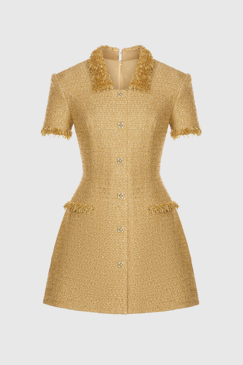 Elborno Gold Embellished Mini Dress