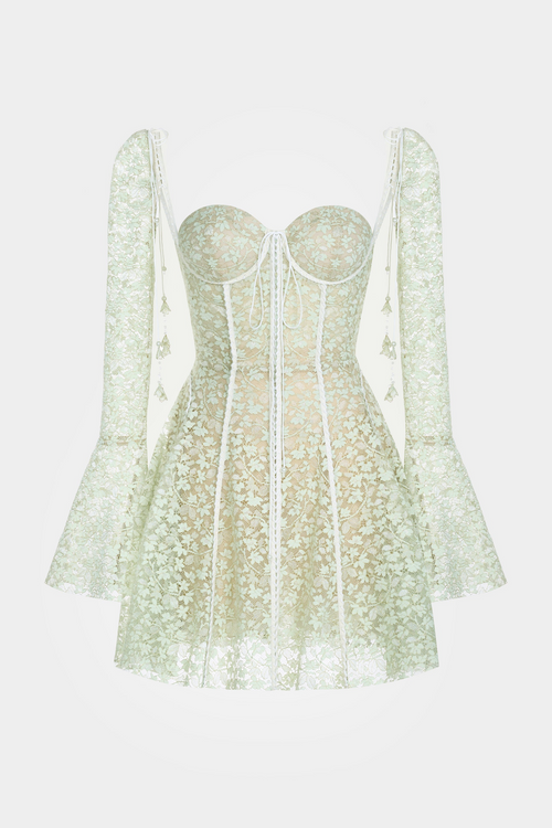 Emani Floral Lace Corset Mini Dress - Mint