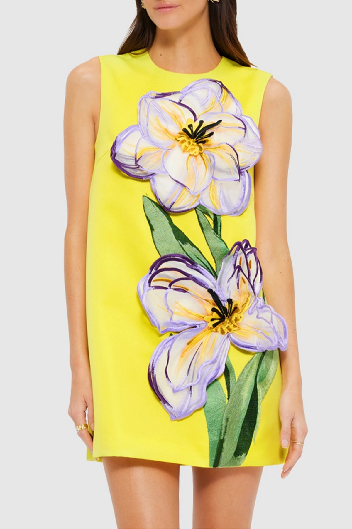 Mimoza Floral Appliqué Sleeveless Mini Dress - Yellow-14
